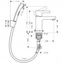 Смеситель умывальника c гигиеническим душем Hansgrohe Metris S (31160000) 70486