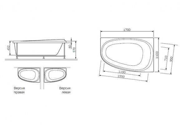 Панель фронтальная для ванны AM PM LIKE 170x110 см (W80A-170U110W-P)