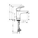 Смеситель для умывальника Hansgrohe Focus (31657000) 121368